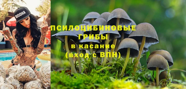 метадон Кукмор