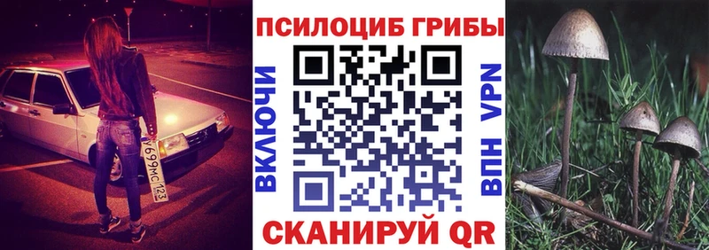 наркошоп  MEGA зеркало  Галлюциногенные грибы ЛСД  Сосновка 